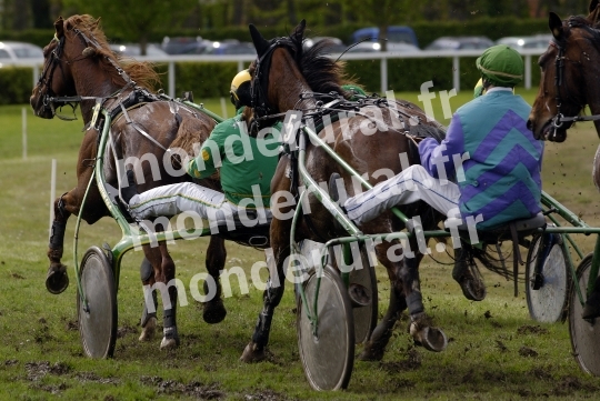 Trophee Vert - Chambray-les-Tours - 2008
