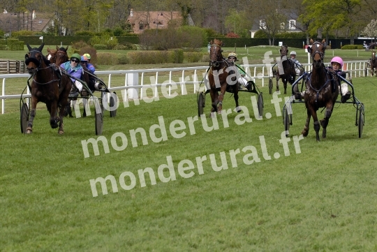Trophee Vert - Chambray-les-Tours - 2008